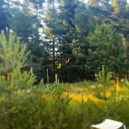 Zarevo Glamping * Szkobelevo