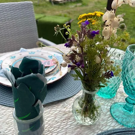 Campo de lujo Zarevo Glamping *