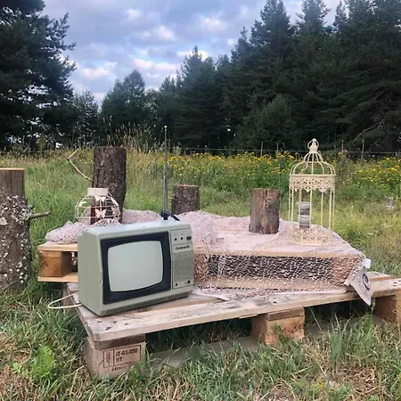 Zarevo Glamping