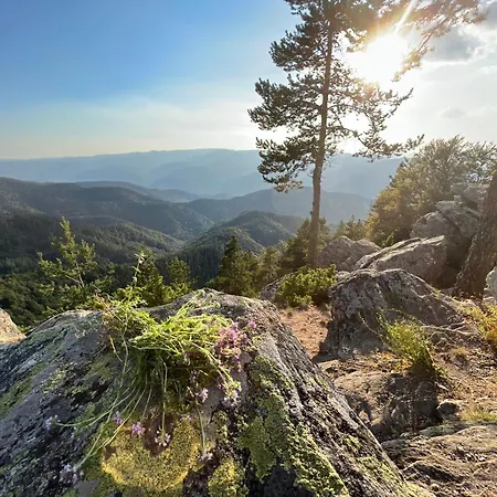 Zarevo Glamping Campo de lujo *