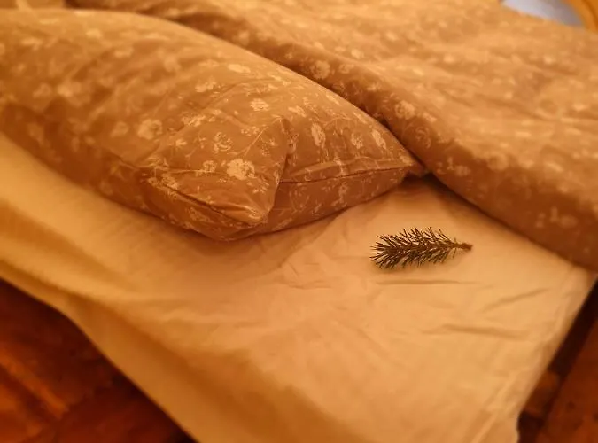 Zarevo Glamping Luxury tent