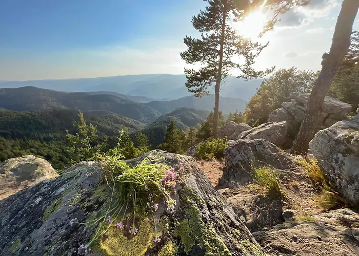 Zarevo Glamping Luxury tent *